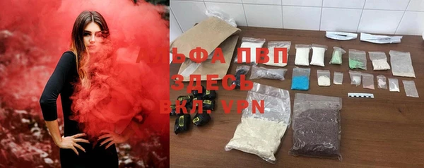 тгк Алзамай