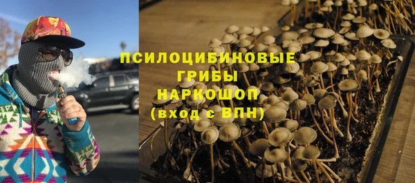 тгк Алзамай